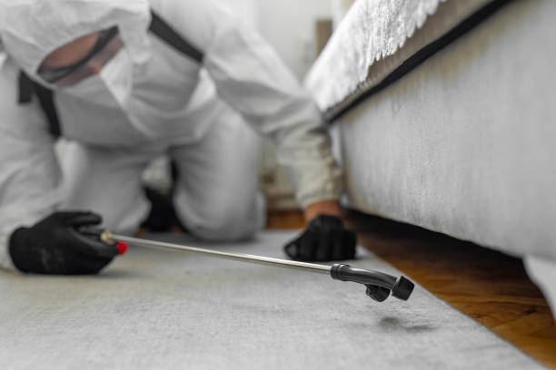 Professional Pest Control technician working in Jefferson County County, NY